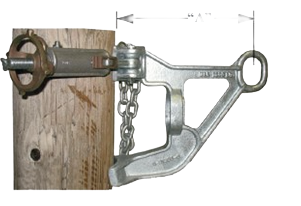 Hastings Chain Transformer Gin