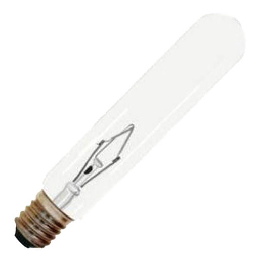 Incandescent Candelabra base Bulb