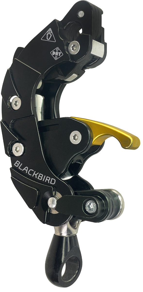 トップス niceness equipment class blackbird bode bb10_art_blackbird_left-2.png?